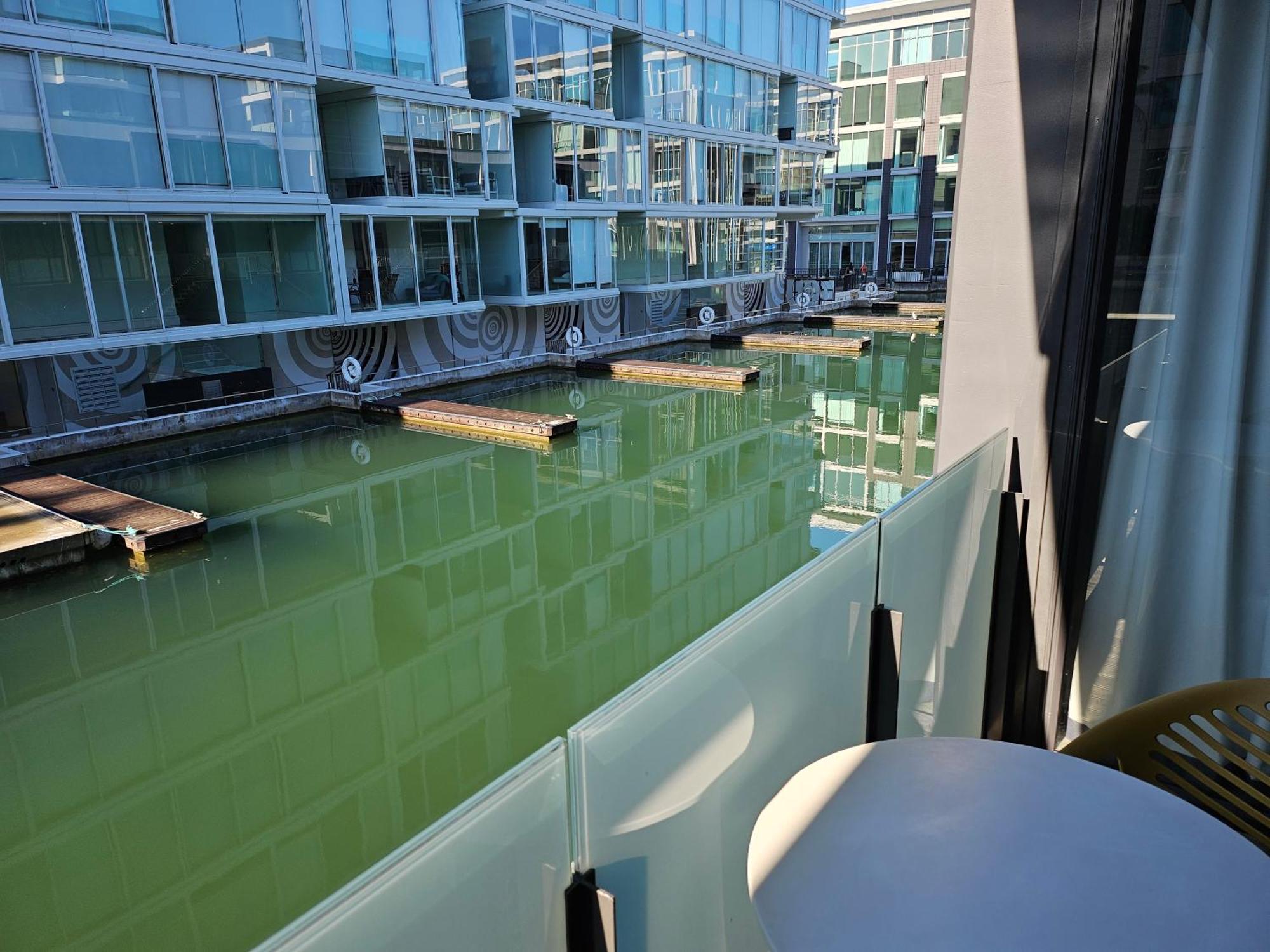 Pavilions Marina Apartment 102 - Wynyard Quarter Viaduct Harbour オークランド エクステリア 写真